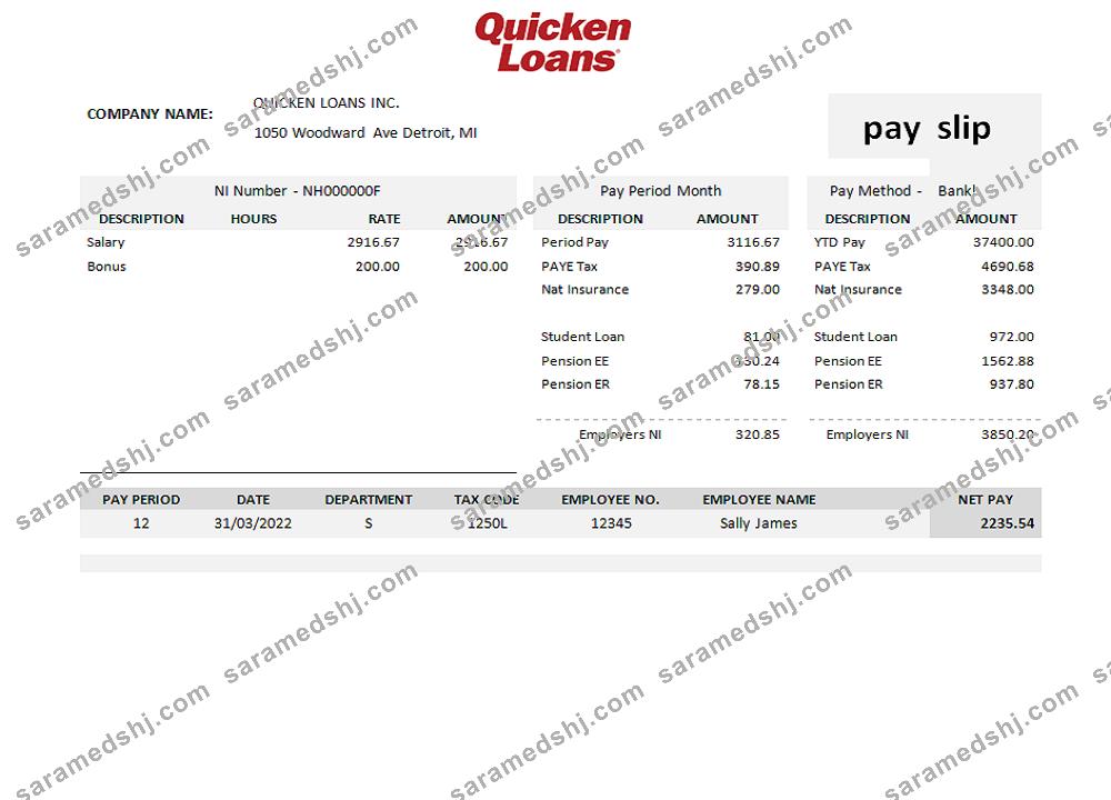 USA Quicken Loans Inc. mortgage loan company pay stub